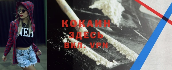 спиды Новодвинск