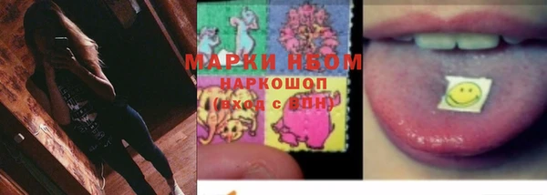 спиды Новодвинск