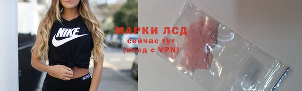 спиды Новодвинск