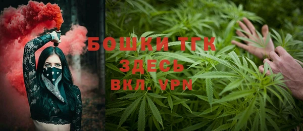 не бодяженный Новозыбков