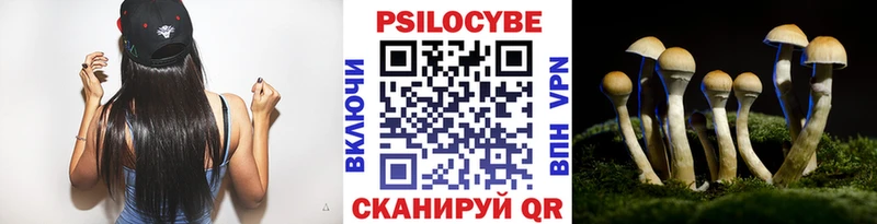 даркнет сайт  Нурлат  Псилоцибиновые грибы ЛСД 